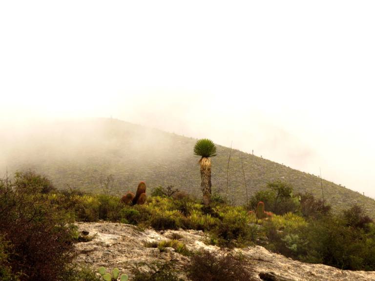 11155059_10153335329842664_218083201011415524_o