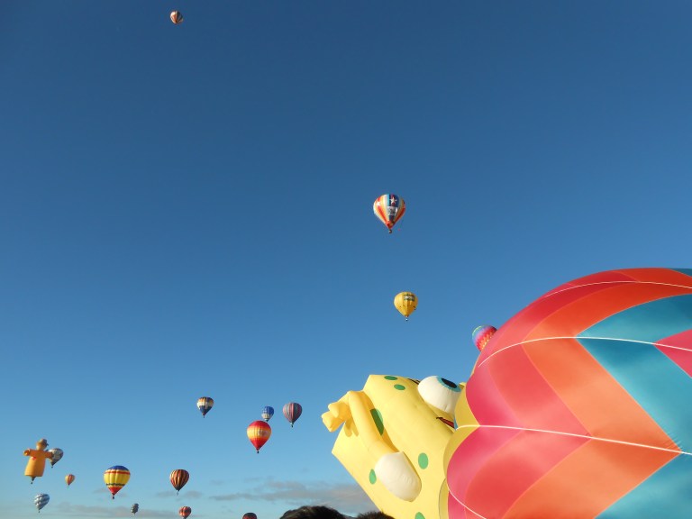 20284961798_5792c5d185_o