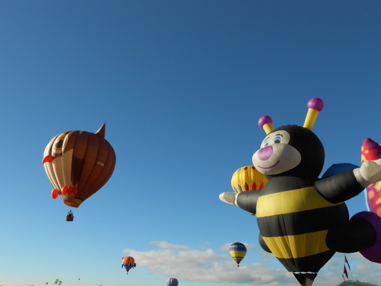 20286227659_cddb3e627e_o